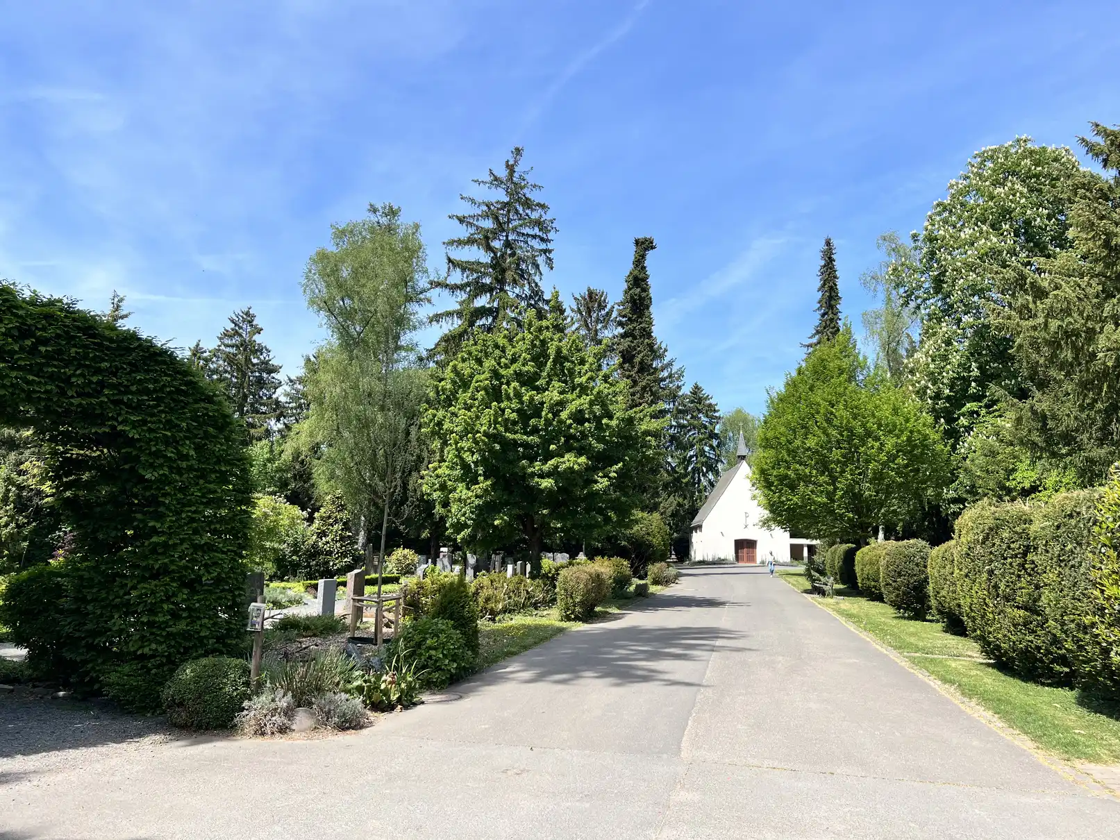 Friedhof Bornheim Frankfurt: Grabarten, Grabstein-Auswahl und historischer Baumbestand
