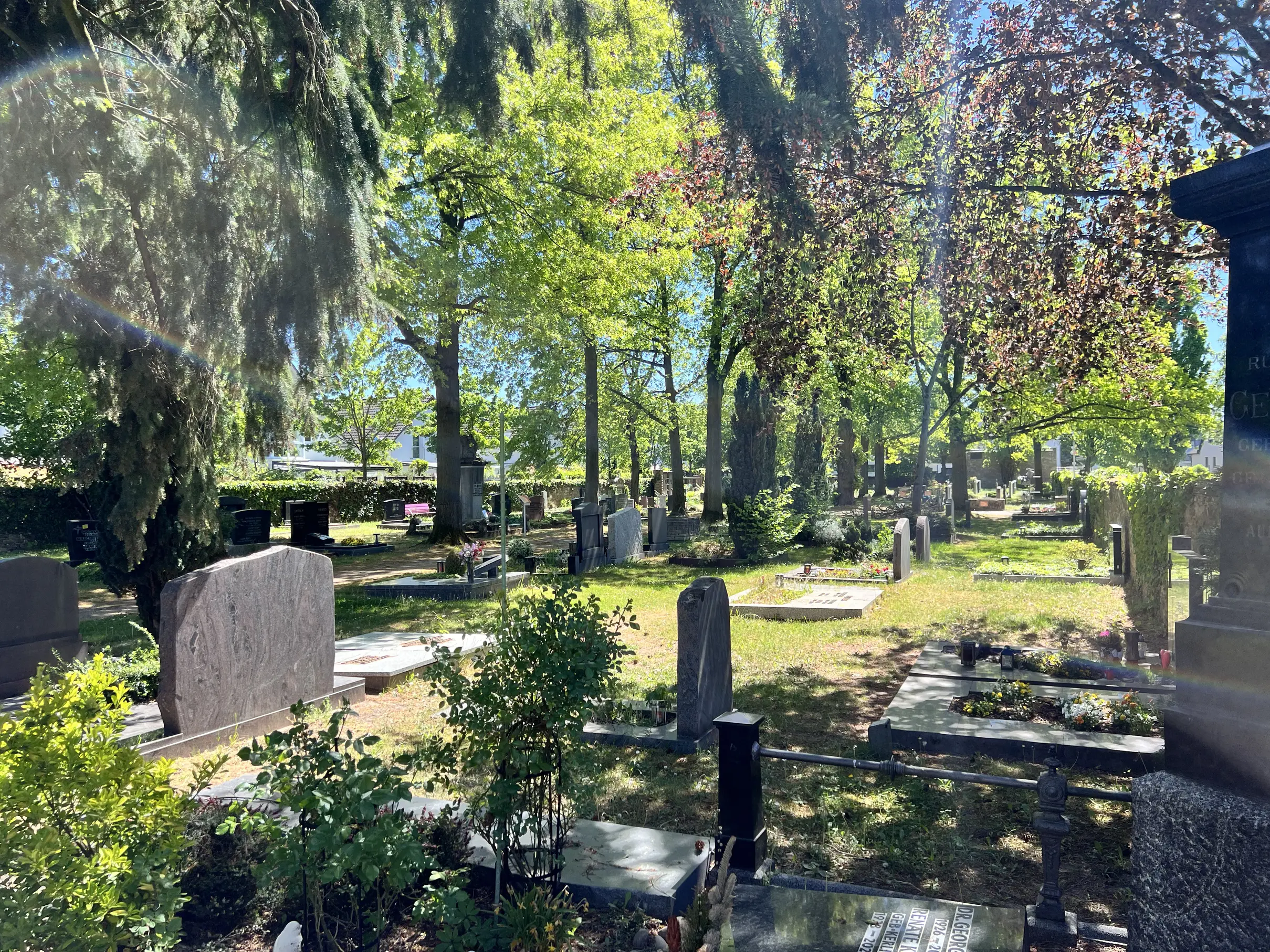 Friedhof Rumpenheim in Offenbach am Main - Historische Gräber und Baumbestand