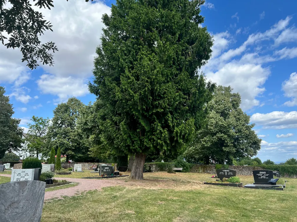 Alter Friedhof Maintal Wachenbuchen Haupteingang an der Kirchhofstraße