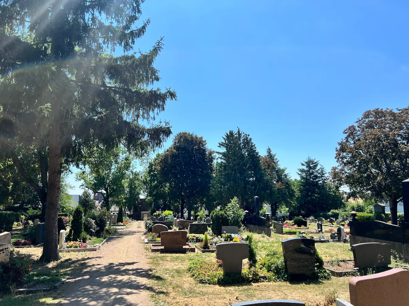 Friedhof Bergen Frankfurt: Historische Anlage auf dem Berger Rücken mit Fachwerkhäusern im Hintergrund