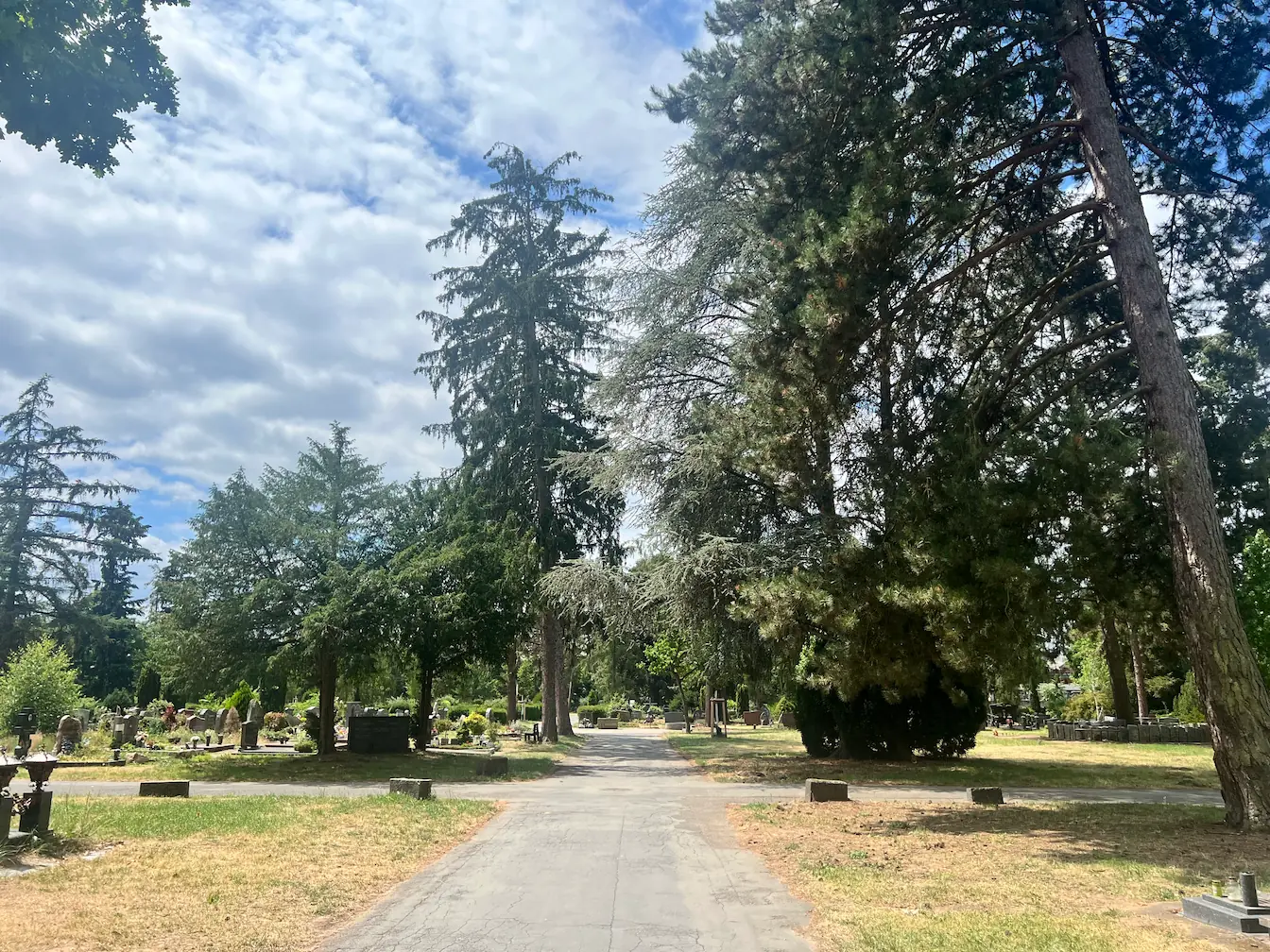 Neuer Friedhof in Offenbach am Main - Übersicht und Hauptwege